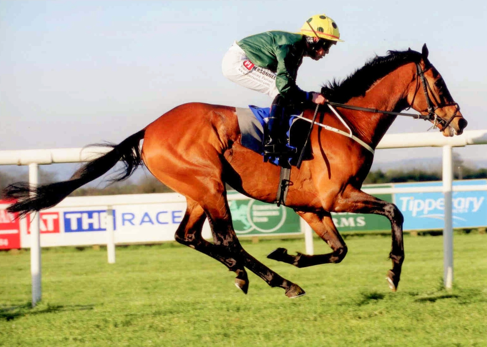 UNREQUITED wins at Tipperary April 23rd 2015